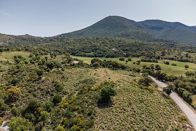 Route dans les environs de Corte - Corse - France