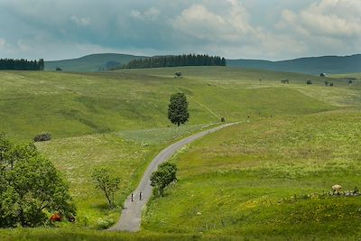 Gravel sur le plateau du massif du Cézallier - Auvergne-Rhône-Alpes - France