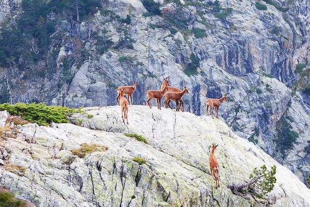 Randonnée France Pyrénées