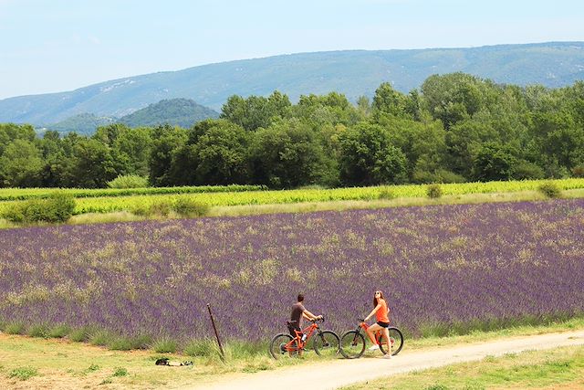 Vélo France Provence - Côte d'Azur
