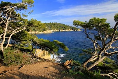 La côte sauvage de la presqu'île de Giens - France
