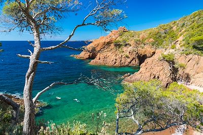 Calanque de Saint-Barthélemy - Corniche de l'Esterel - France