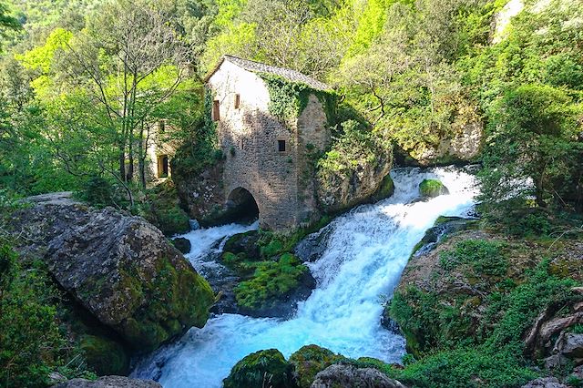 Randonnée avec âne France Massif Central