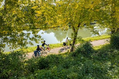 La Loire à Vélo à Bannay - Centre Val de Loire - France