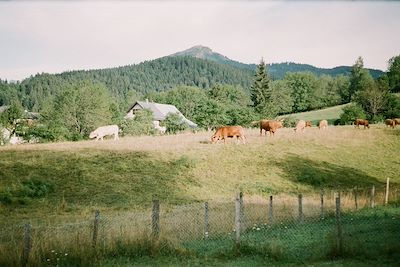 Vercors - France