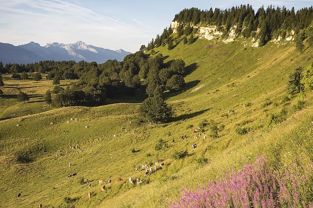 Randonnée France Alpes du Nord
