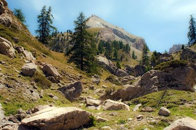 Vallée alpine du Queyras - France