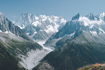 Réserve naturelle nationale des Aiguilles Rouges avec vue la Mer de Glace - Haute-Savoie - France