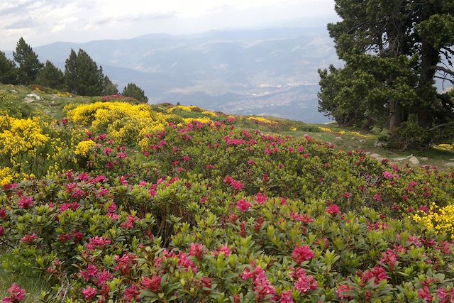 Randonnée France Pyrénées espagnoles