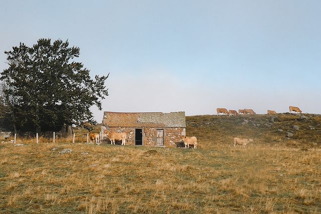 Randonnée France Massif Central