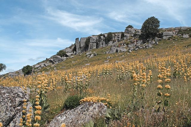 Randonnée France Massif Central