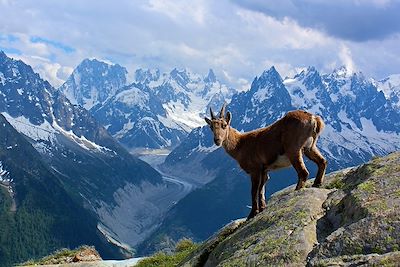 Aiguilles Rouges  - France