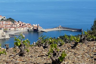 Voyage Catalogne