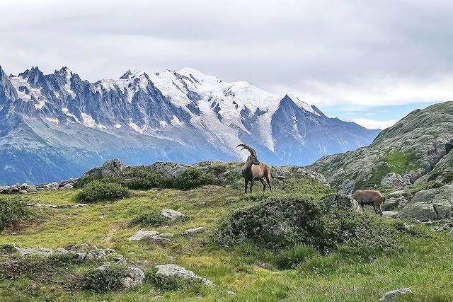 Randonnée France Alpes du Nord