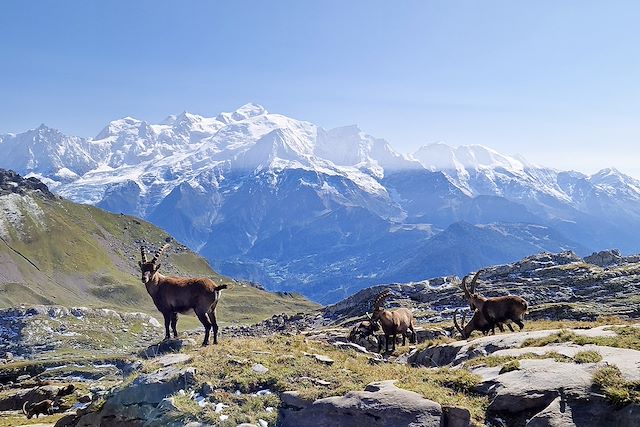Randonnée France Alpes du Nord