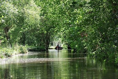 Balade en barque dans le Marais Poitevin - France