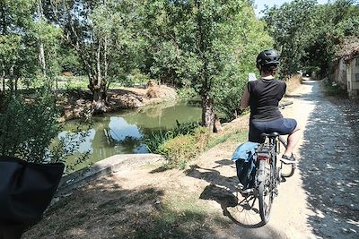 Voie verte le long du bief de la Garenne à la sortie d'Arçais, dans le marais Poitevin - Charente-Maritime - France 