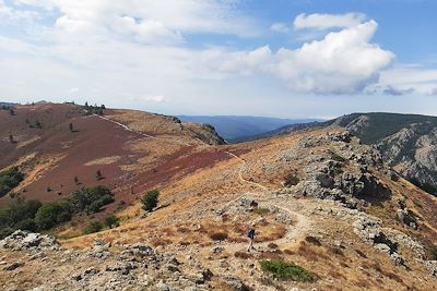 Randonnée - Caroux - Cévennes - France