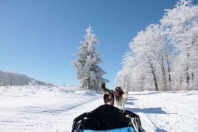 Voyage Massif Central