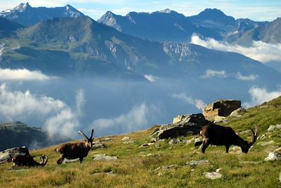 Vanoise - FRANCE