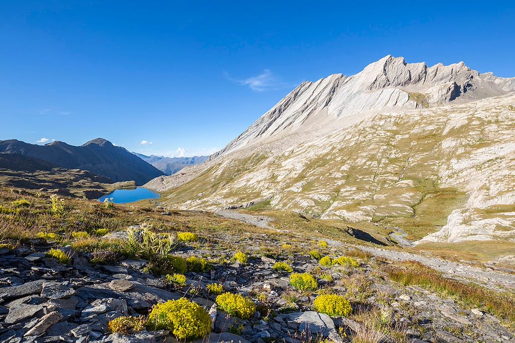 Voyage Alpes du Sud
