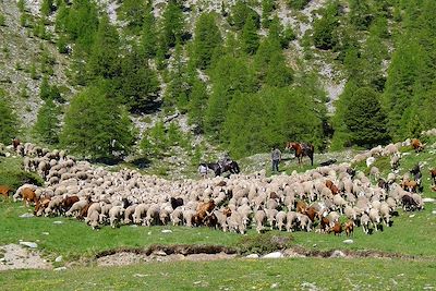 Massif du Queyras - France