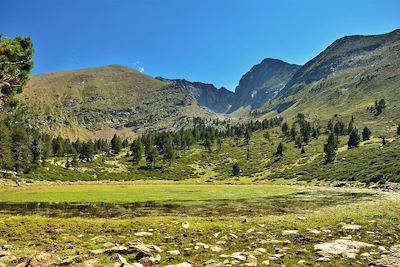 Le Canigou et l'Estagnols - Pyrénées orientales - France