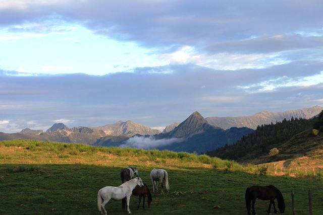 Randonnée avec âne France Pyrénées