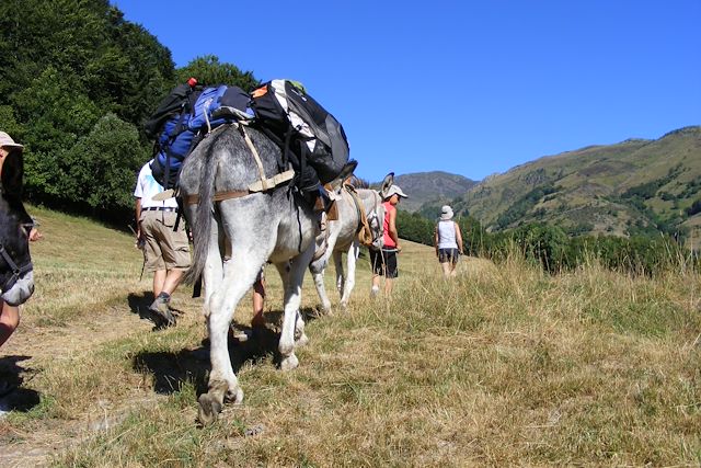 Randonnée avec âne France Pyrénées