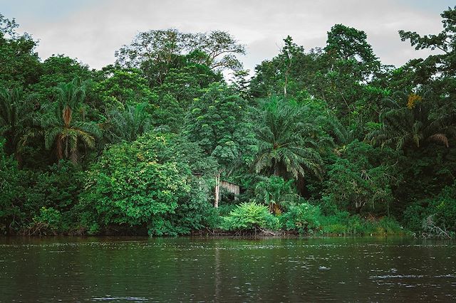 Safari Gabon