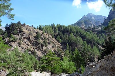 Gorge de Samaria - Crète - Grèce