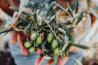 Olives - Grèce