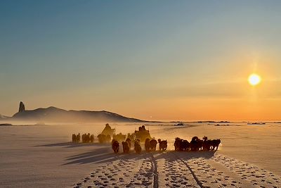 Chiens traîneau au coucher de soleil - Groenland