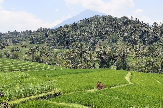 Découverte Indonésie Lombok