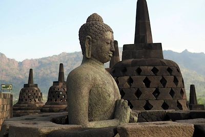 Stupas au temple de Borobudur - Java - Indonésie