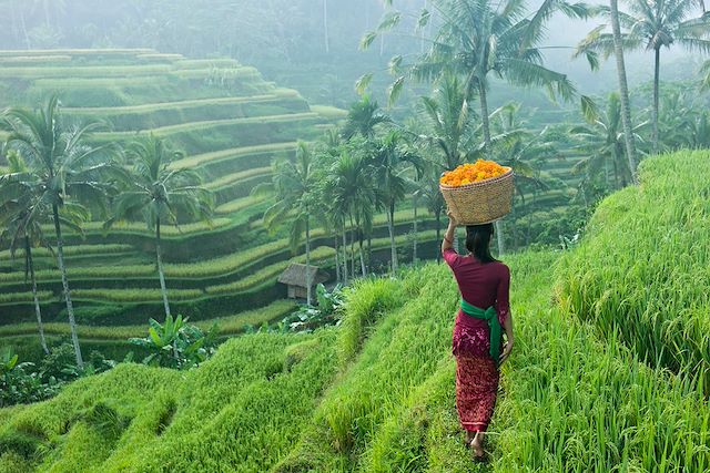 Trek Indonésie Bali