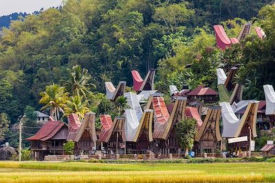 L'ile de Sulawesi - Indonésie 