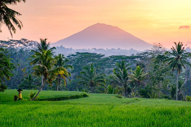 Découverte Indonésie Bali