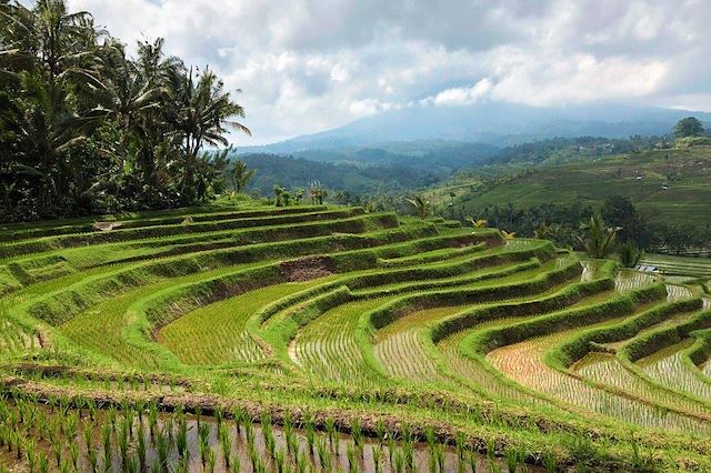 Découverte Indonésie Bali