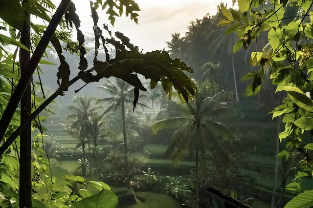 Vélo Indonésie Bali