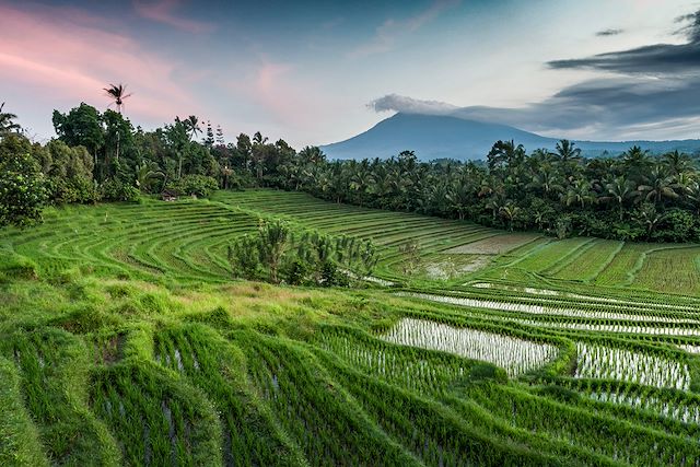 Randonnée Indonésie Bali