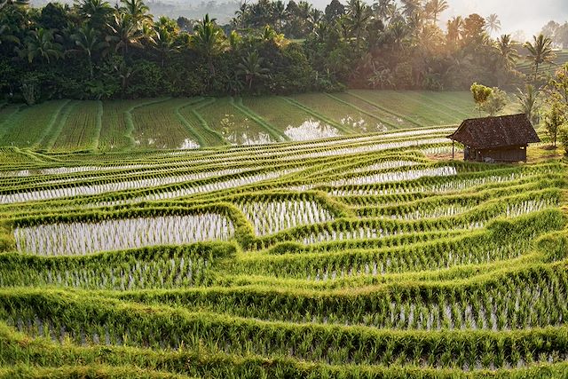 Découverte Indonésie Bali