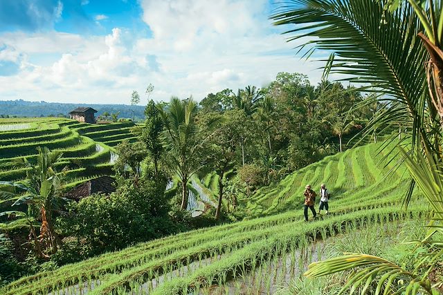 Découverte Indonésie Bali
