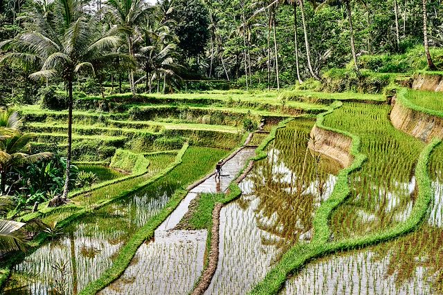 Découverte Indonésie Bali