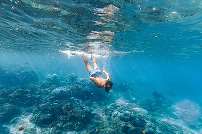 Snorkeling en Indonesie