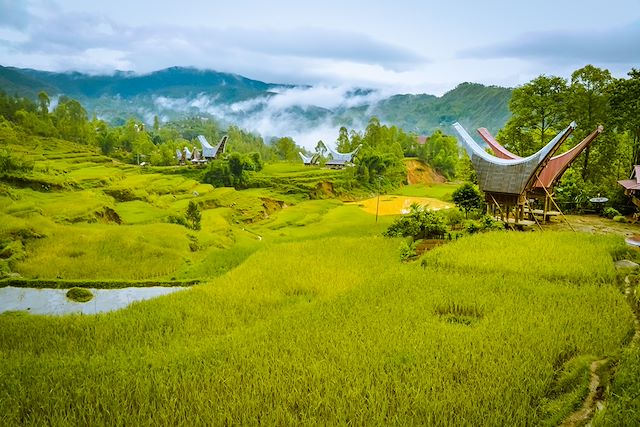 Randonnée Indonésie Sulawesi
