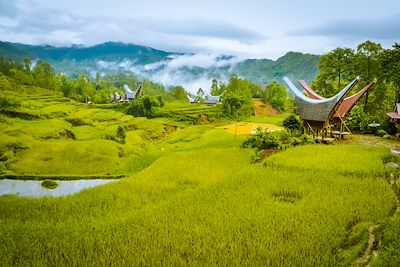 Voyage Sulawesi