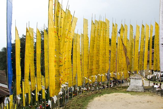 Trek Inde