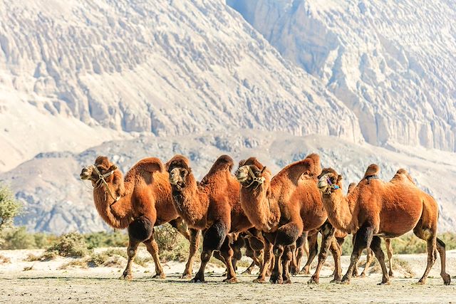 Randonnée Inde Ladakh