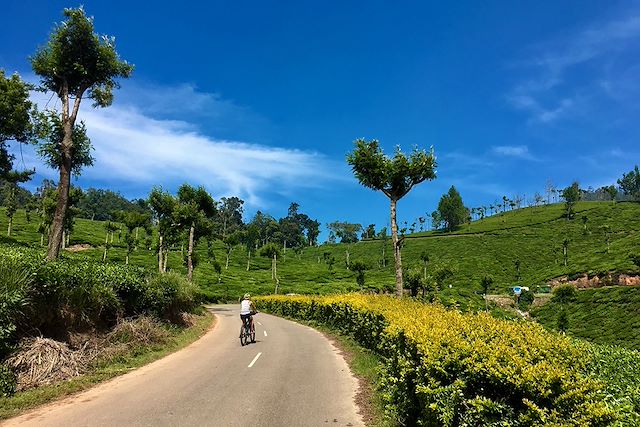 Vélo Inde Inde du Sud